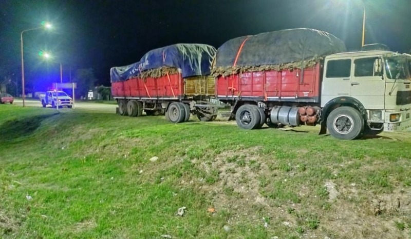 Secuestraron 10 mil kilos de cuero ovino con destino a Olavarra